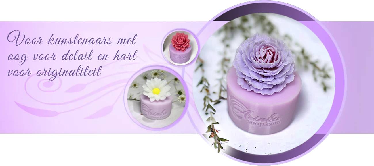 Niet allemaal bloeiend, maar wel altijd boeiend: vetplanten - Tuincentrum