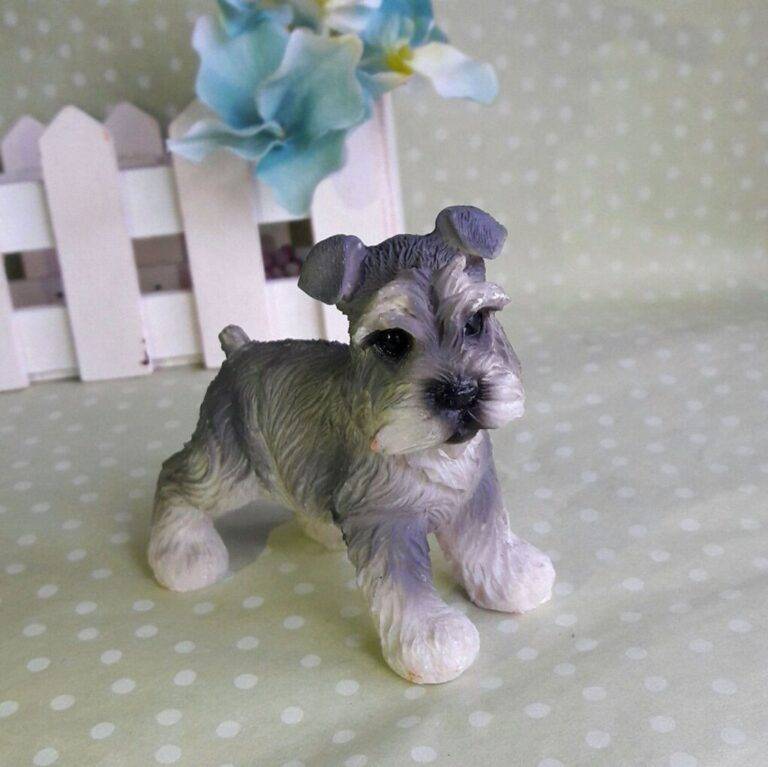 Hond